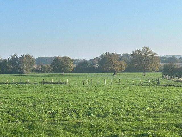 Bien atypique La Ferté-Bernard