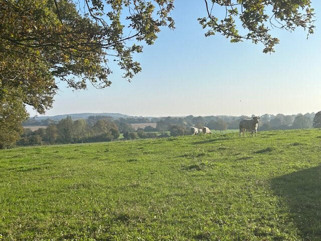 Bien atypique La Ferté-Bernard