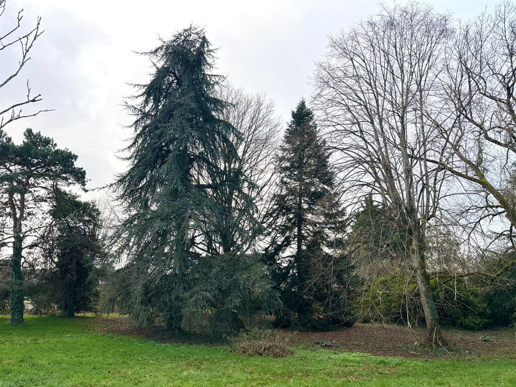 Maison La Ferté-Saint-Aubin