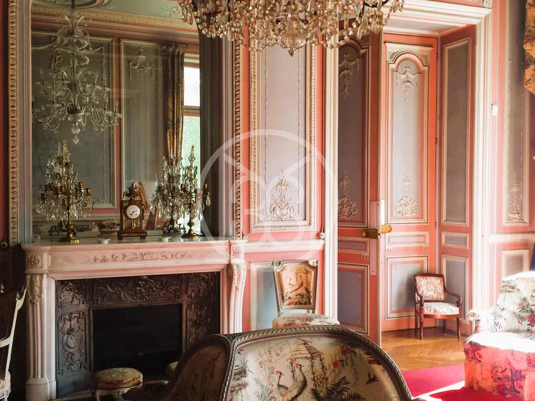 Château La Ferté-sous-Jouarre - 8 chambres - 1400m²