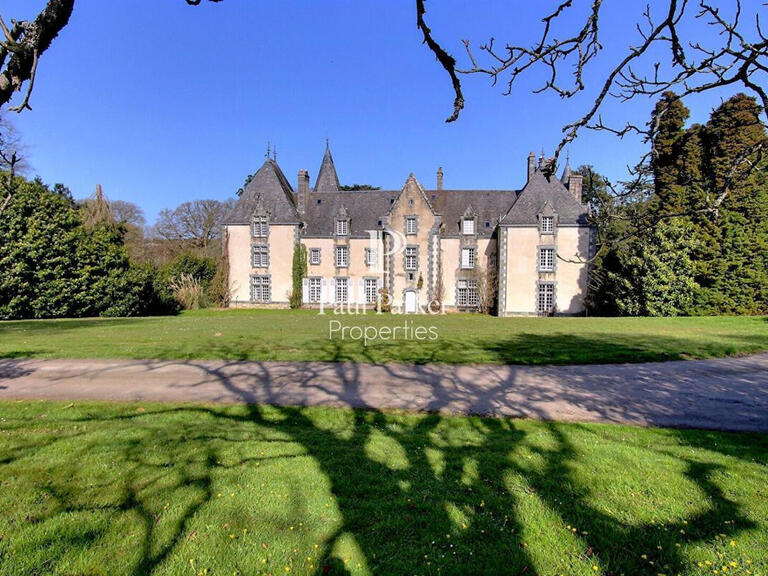 Castle La Gacilly - 18 bedrooms