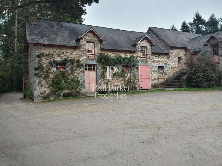 Castle La Gacilly - 18 bedrooms