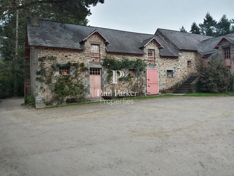 Sale Castle La Gacilly - 18 bedrooms