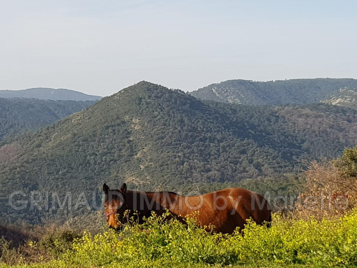 Villa La Garde-Freinet