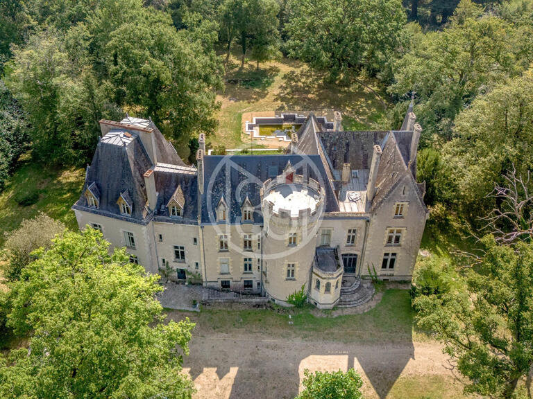 Castle La Guerche-sur-l'Aubois - 16 bedrooms - 1173m²