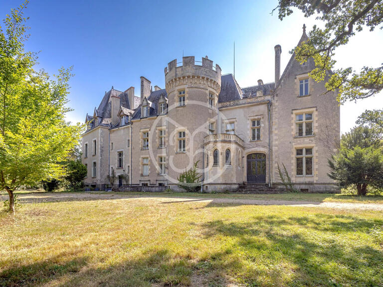 Castle La Guerche-sur-l'Aubois - 16 bedrooms - 1173m²