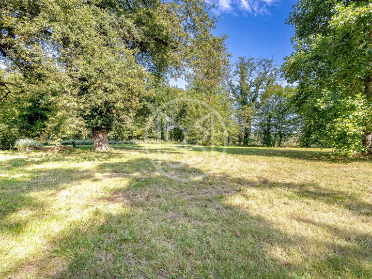 Château La Guerche-sur-l'Aubois - 16 chambres - 1173m²