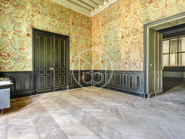 Château La Guerche-sur-l'Aubois - 16 chambres - 1173m²