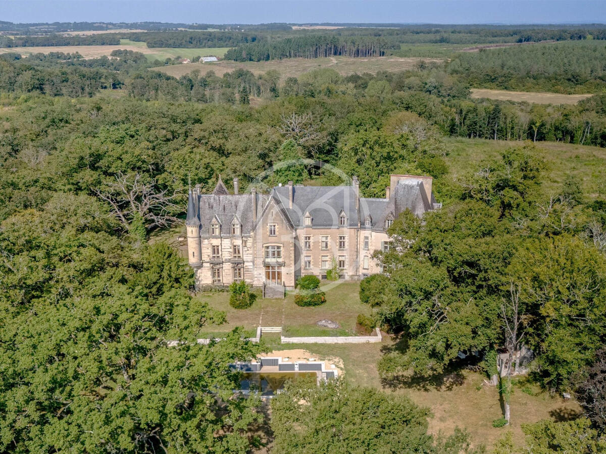 Château La Guerche-sur-l'Aubois