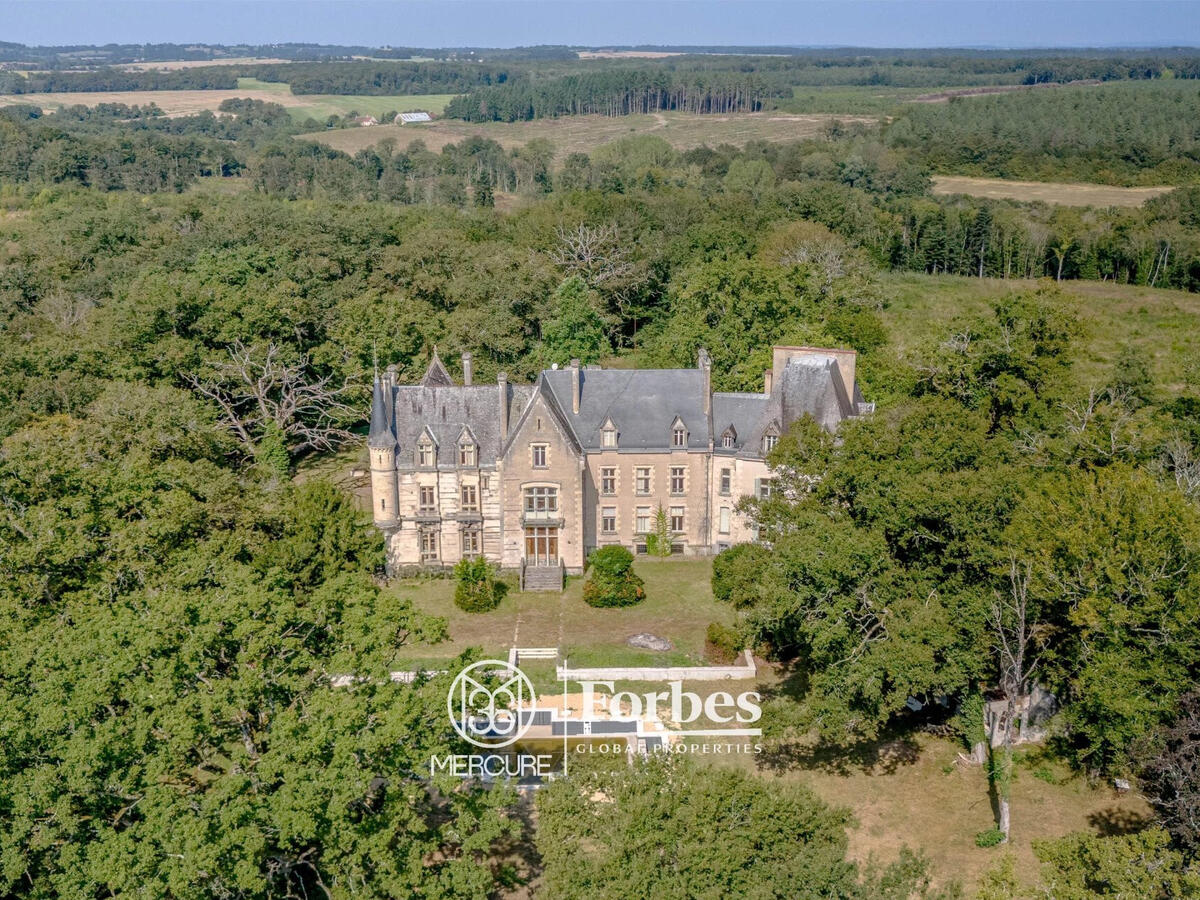 Château La Guerche-sur-l'Aubois