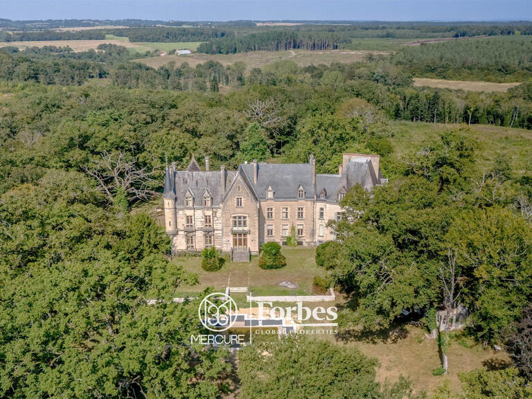 Castle La Guerche-sur-l'Aubois - 16 bedrooms - 1173m²