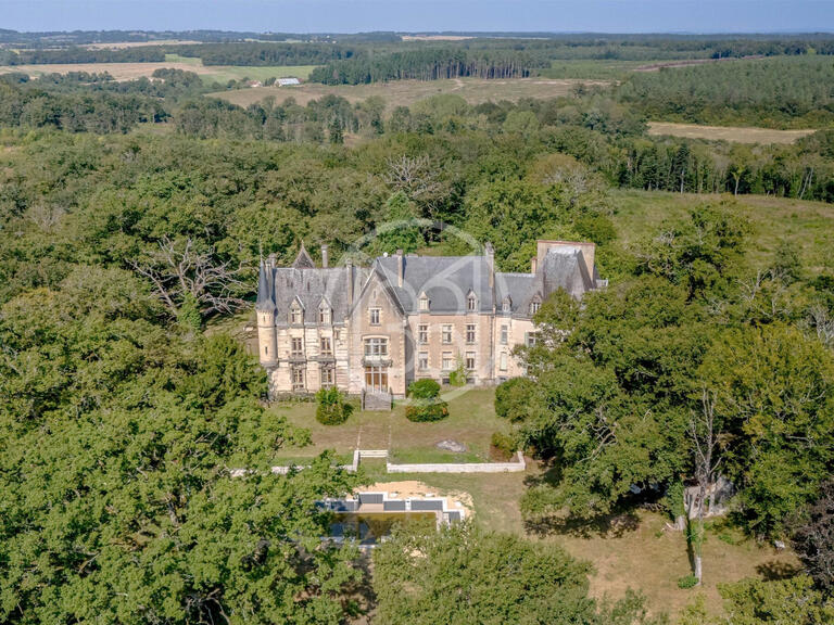 Château La Guerche-sur-l'Aubois - 16 chambres - 1173m²