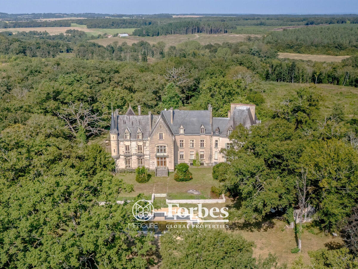 Château La Guerche-sur-l'Aubois