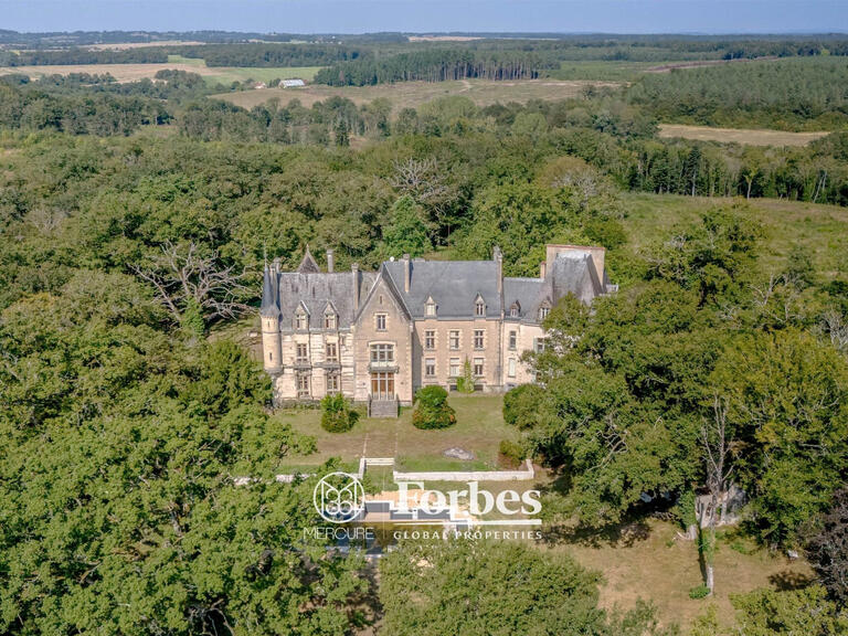 Château La Guerche-sur-l'Aubois - 16 chambres - 1173m²