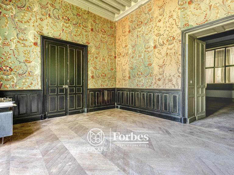 Château La Guerche-sur-l'Aubois - 16 chambres - 1173m²