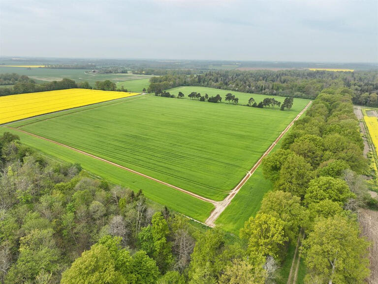 Vente Château La Haye-Saint-Sylvestre - 38 chambres