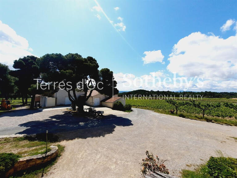 Vineyard La Livinière - 6 bedrooms - 2300m²