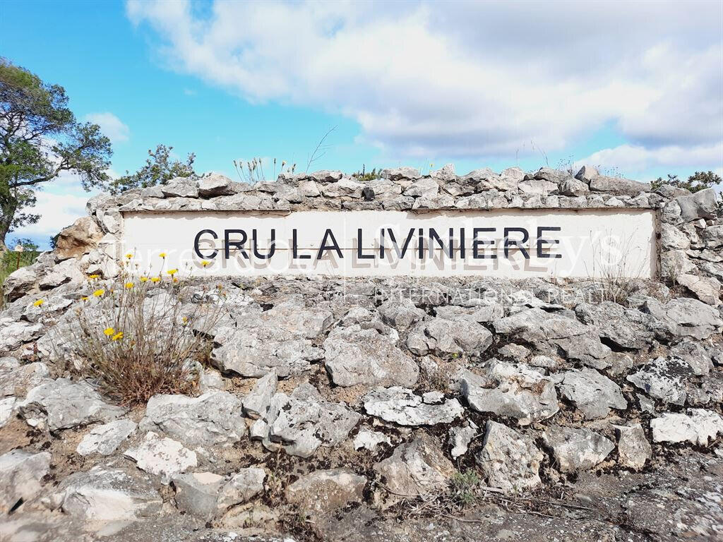 Vineyard La Livinière