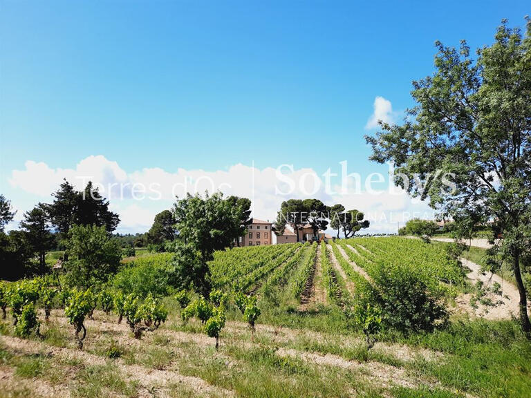 Sale Vineyard La Livinière - 6 bedrooms