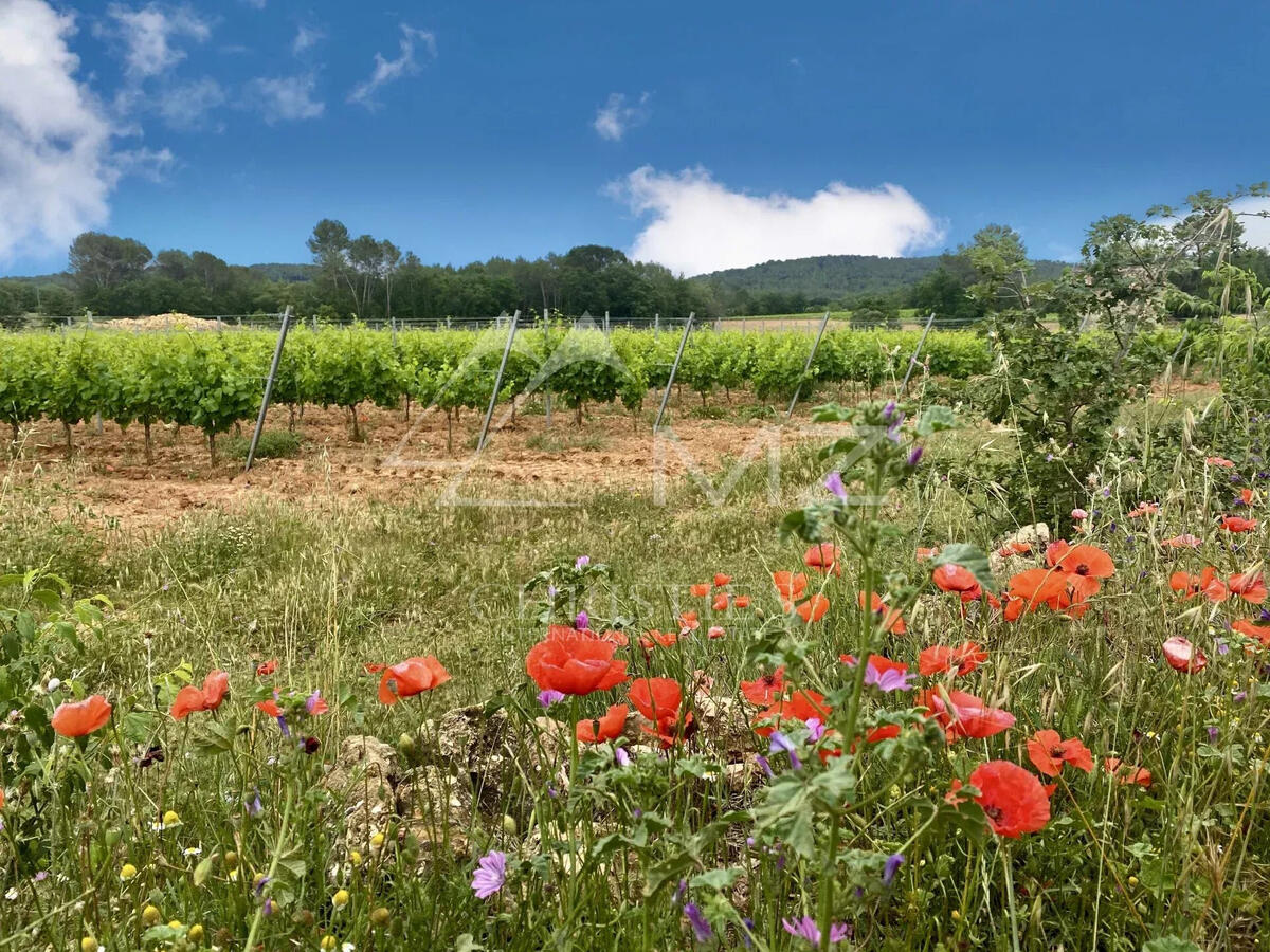 Domaine viticole La Motte