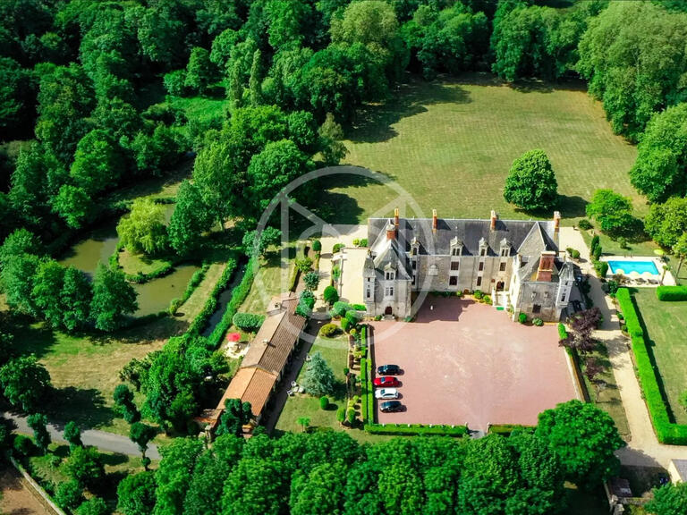 Castle La Roche-sur-Yon - 22 bedrooms - 800m²