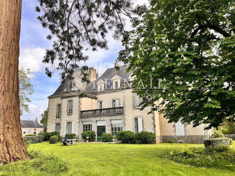 Château La Roche-sur-Yon - 6 chambres - 480m²