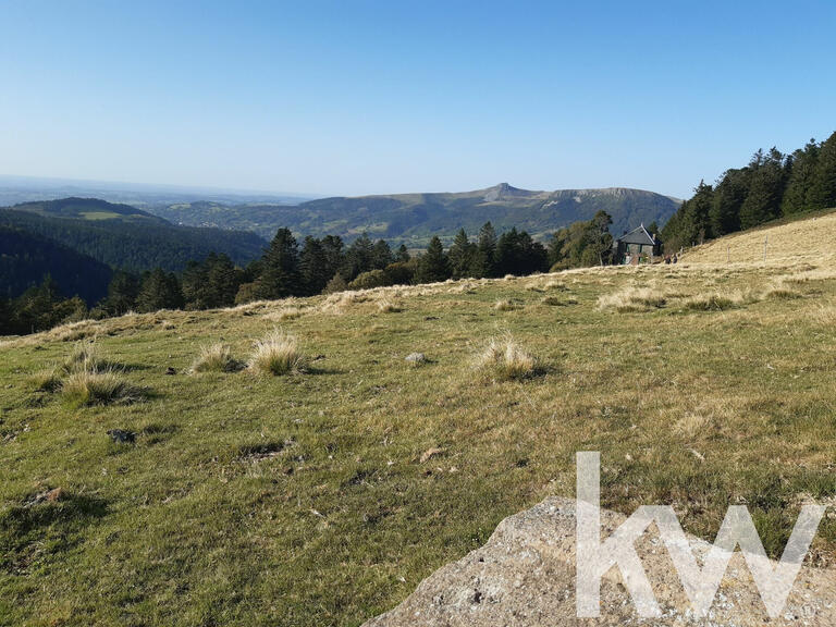 Château La Tour-d'Auvergne - 8 chambres - 661m²