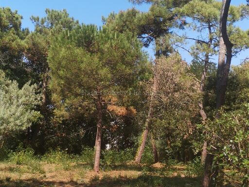 Land La Tranche-sur-Mer - 1050m²