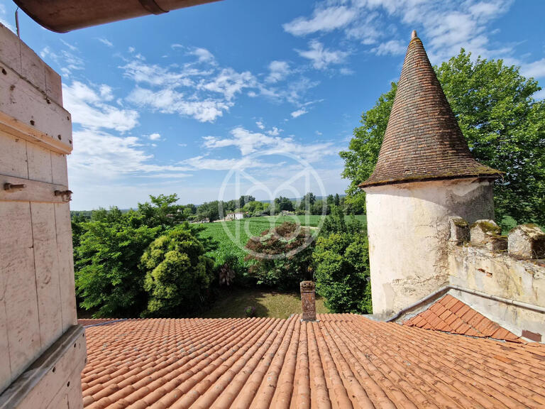 Château Labastide-d'Armagnac - 15 chambres - 1000m²