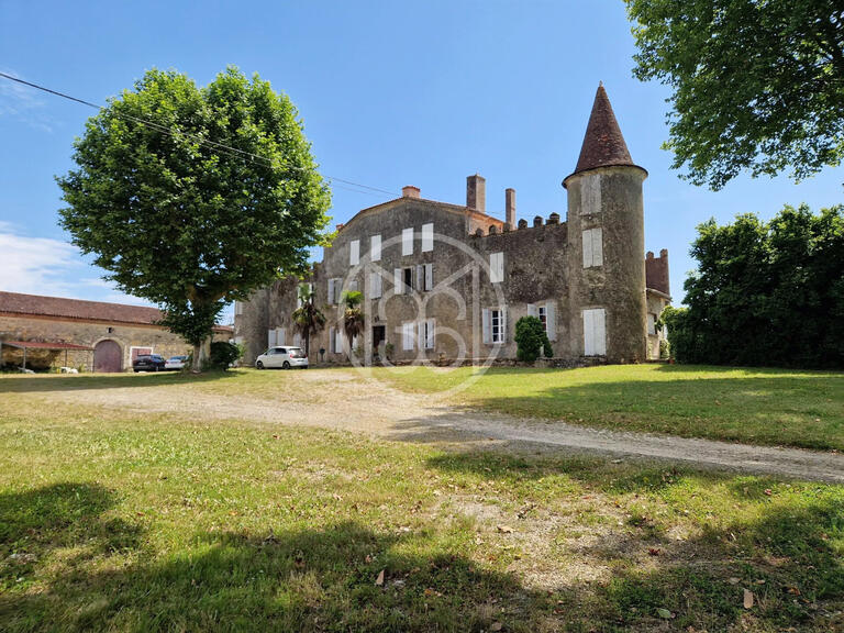 Castle Labastide-d'Armagnac - 15 bedrooms - 1000m²