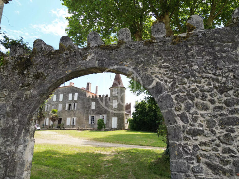 Château Labastide-d'Armagnac - 15 chambres - 1000m²