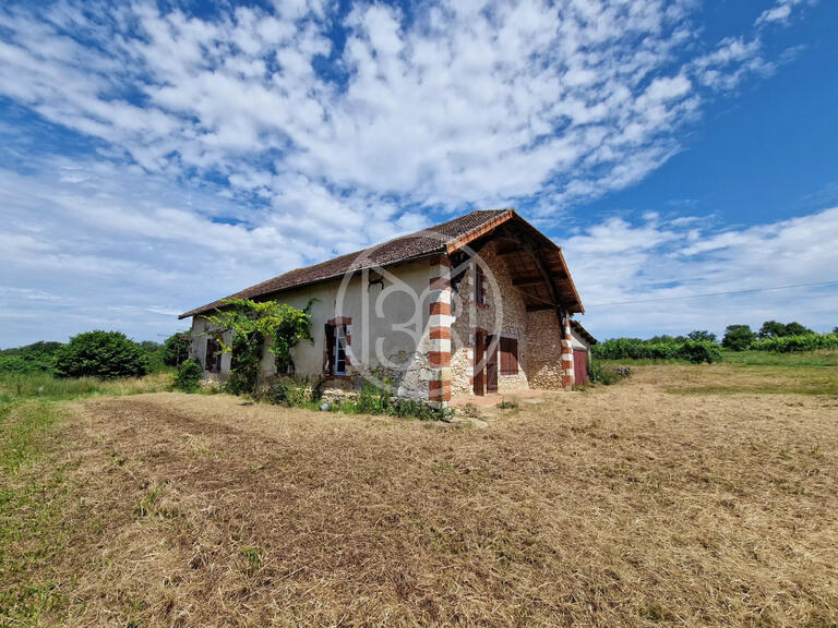 Château Labastide-d'Armagnac - 15 chambres - 1000m²