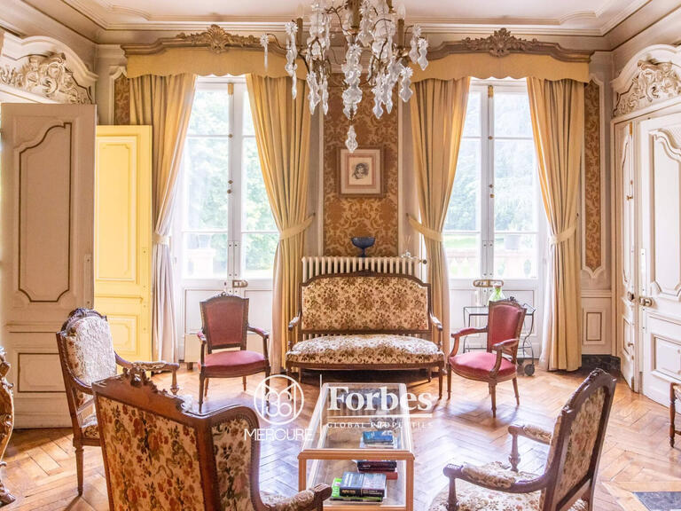 Castle Lacenas - 13 bedrooms - 1924m²