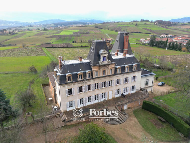 Château Lacenas - 13 chambres - 1924m²