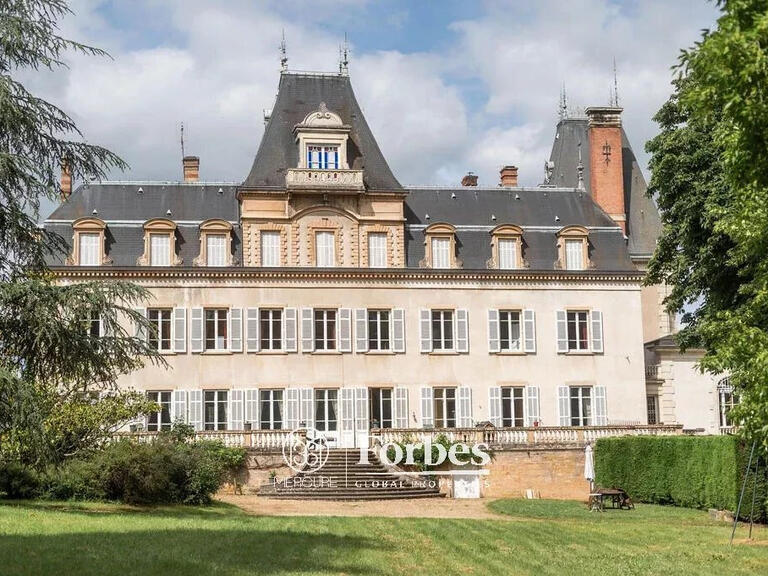 Castle Lacenas - 13 bedrooms - 1924m²