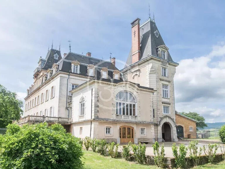 Castle Lacenas - 13 bedrooms - 1924m²