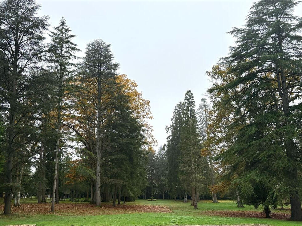 Maison Lamotte-Beuvron