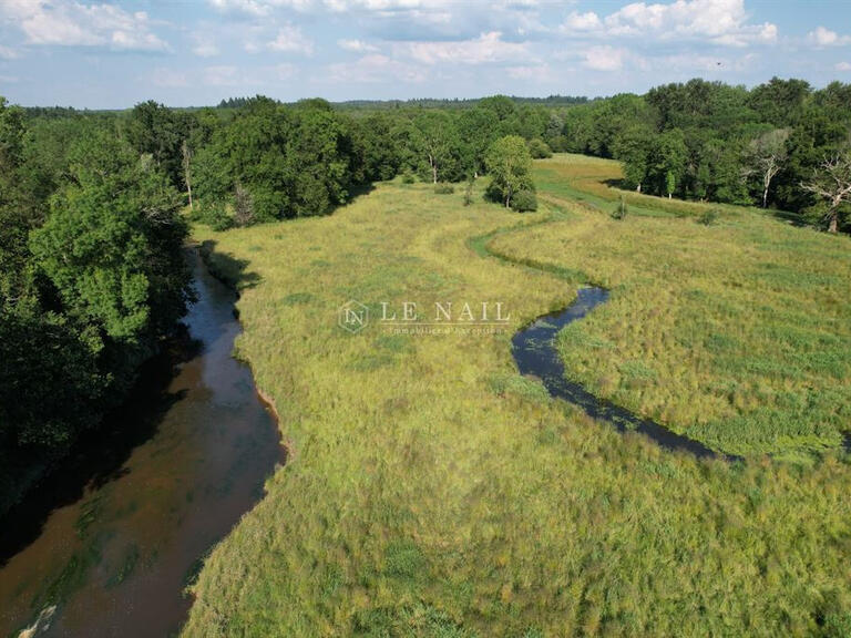 Vente Propriété Lamotte-Beuvron - 5 chambres