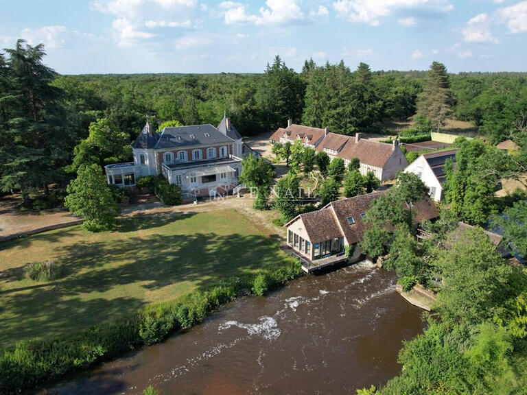 Property Lamotte-Beuvron - 5 bedrooms - 1000m²