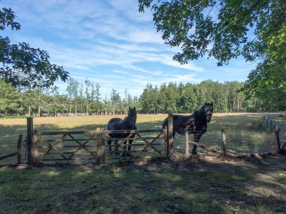 Equestrian property Lamotte-Beuvron