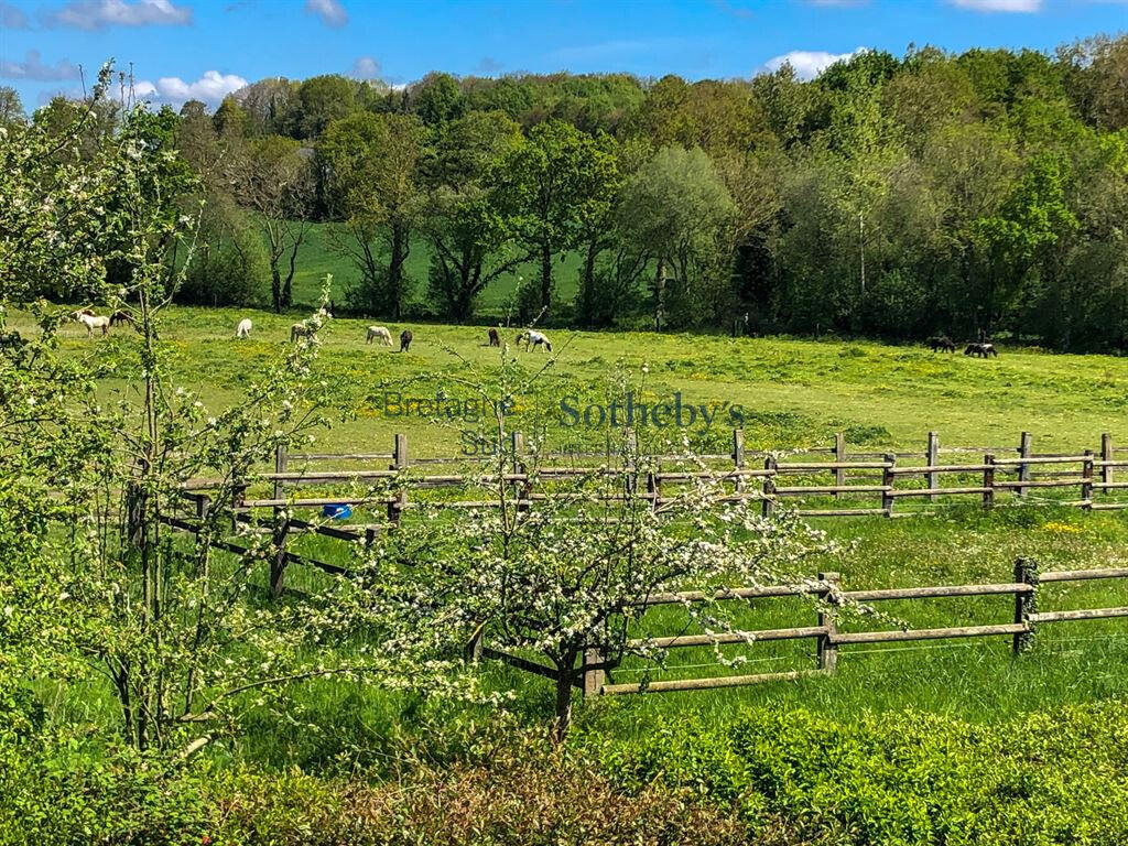 Equestrian property Landéhen