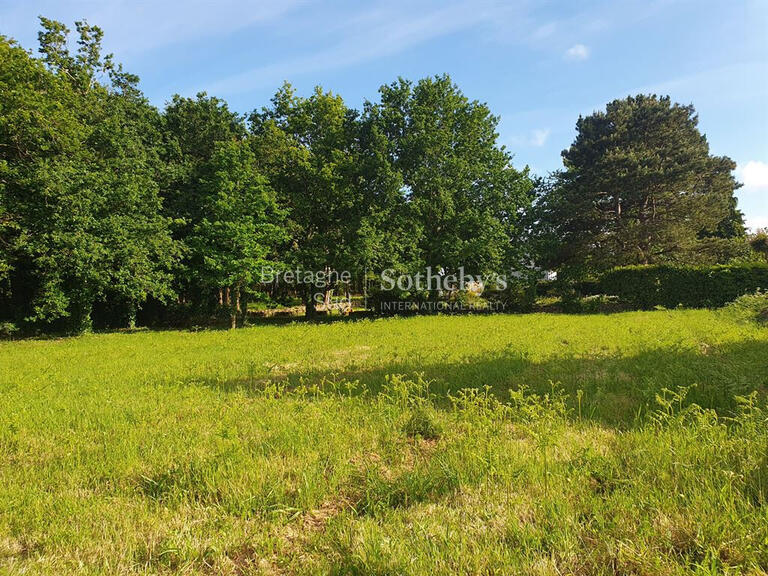 Land Larmor-Baden - 2725m²