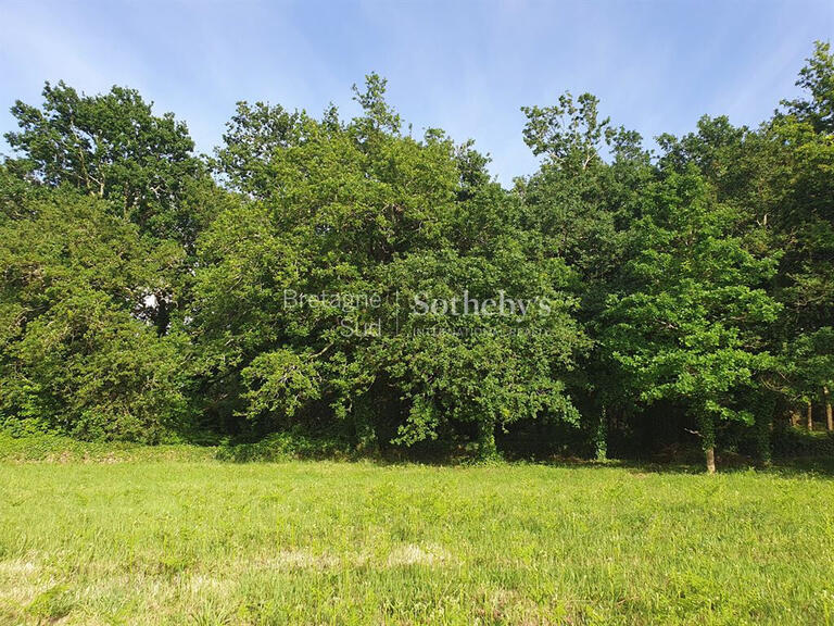 Terrain Larmor-Baden - 2725m²