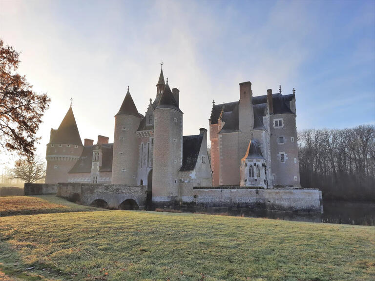 Castle Lassay-sur-Croisne - 420m²