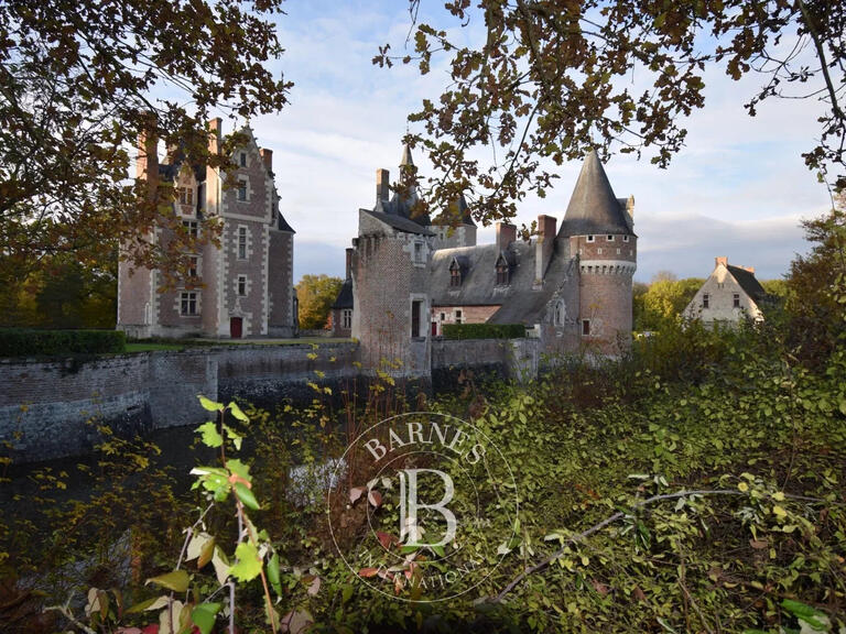 Sale Castle Lassay-sur-Croisne