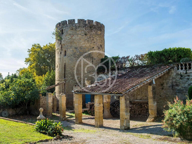 Vente Château Lautrec - 9 chambres