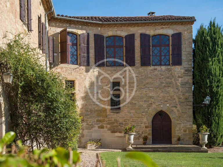 Castle Lautrec - 9 bedrooms - 800m²