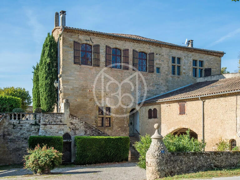 Castle Lautrec - 9 bedrooms - 800m²