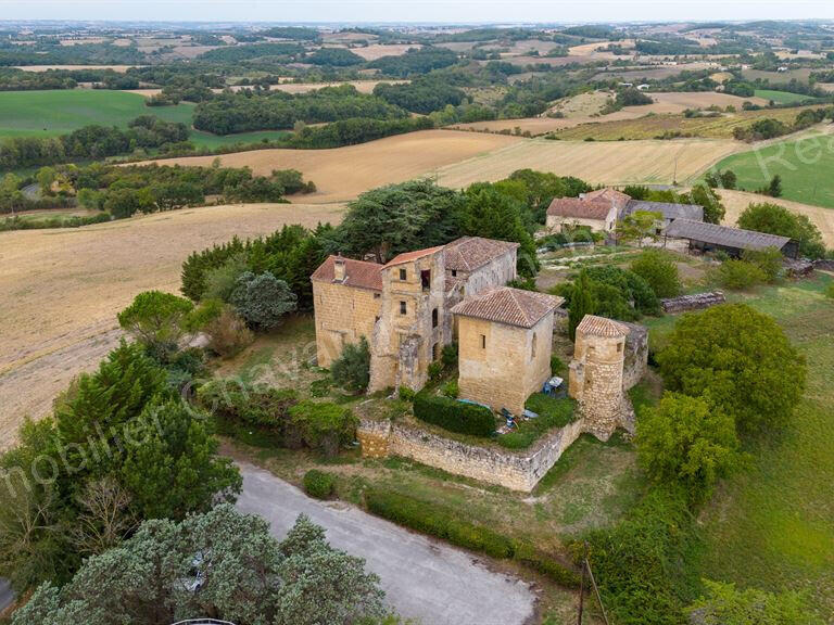 Castle Lavaur - 5 bedrooms - 400m²