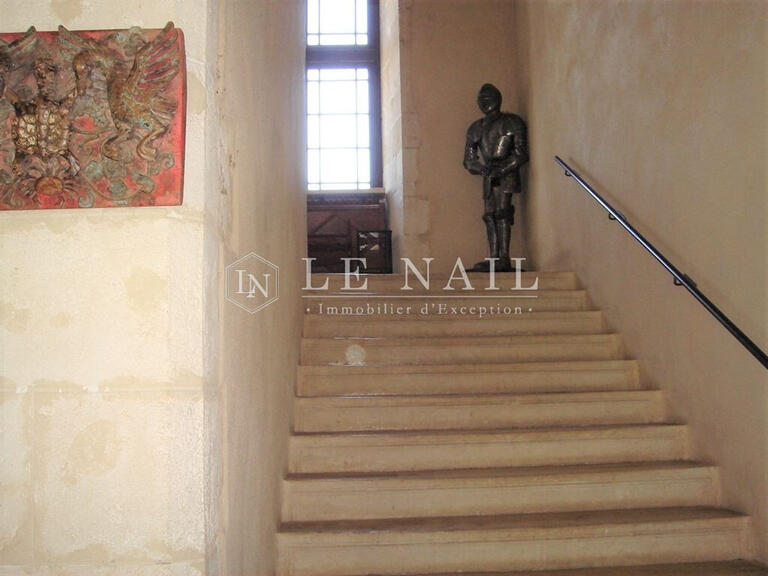 Castle Le Blanc - 12 bedrooms - 600m²